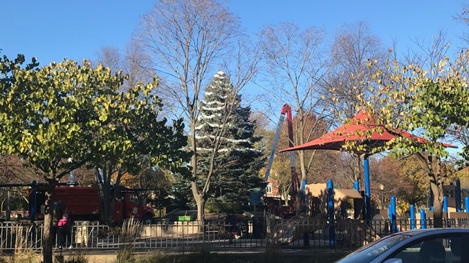 Christmas Tree or Holiday Tree setup for 2020 at North School Park