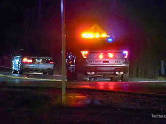 On-scene investigation at scene where pedestrian was hit and killed by a vehicle on Green Bay Road in Beach Park (PHOTO CREDIT: Twitter.com/imagescu)