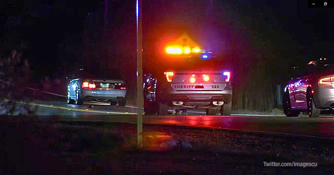 On-scene investigation at scene where pedestrian was hit and killed by a vehicle on Green Bay Road in Beach Park (PHOTO CREDIT: Twitter.com/imagescu)