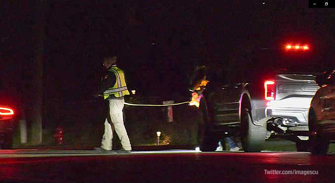 On-scene investigation at scene where pedestrian was hit and killed by a vehicle on Green Bay Road in Beach Park (PHOTO CREDIT: Twitter.com/imagescu)