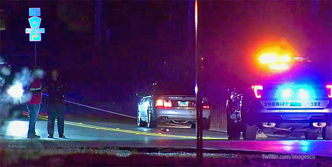 On-scene investigation at scene where pedestrian was hit and killed by a vehicle on Green Bay Road in Beach Park (PHOTO CREDIT: Twitter.com/imagescu)