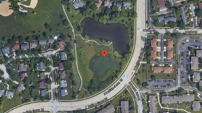 Open field Centennial Park near Old Buffalo Grove Road and Buffalo Grove Road north of Hintz Road near Arlington Heights (Imagery ©2020 Maxar Technologies, U.S. Geological Survey, USDA Farm Service Agency, Map data ©2020) Open field Centennial Park near Old Buffalo Grove Road and Buffalo Grove Road north of Hintz Road near Arlington Heights (Imagery ©2020 Maxar Technologies, U.S. Geological Survey, USDA Farm Service Agency, Map data ©2020)