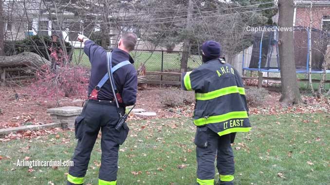 Tree brings down power lines in Arlington Heights; ComEd and fire department crews working