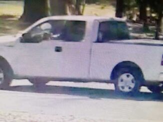 White Ford F-150 truck and driver wanted for fatal hit-and-run vehicle vs. pedestrian incident