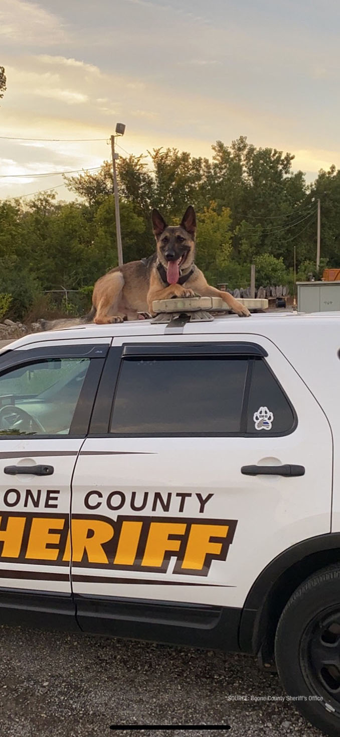 K-9 Loki (SOURCE: Boone County Sheriff's Office)