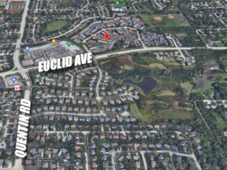 Aerial View Parkside Drive Palatine Coyote Attack map area (Imagery ©2020 Google, Imagery ©2020 Maxar Technologies, U.S. Geological Survey, USDA Farm Service Agency, Map data ©2020)