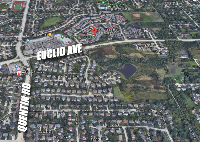 Aerial View Parkside Drive Palatine Coyote Attack map area (Imagery ©2020 Google, Imagery ©2020 Maxar Technologies, U.S. Geological Survey, USDA Farm Service Agency, Map data ©2020)