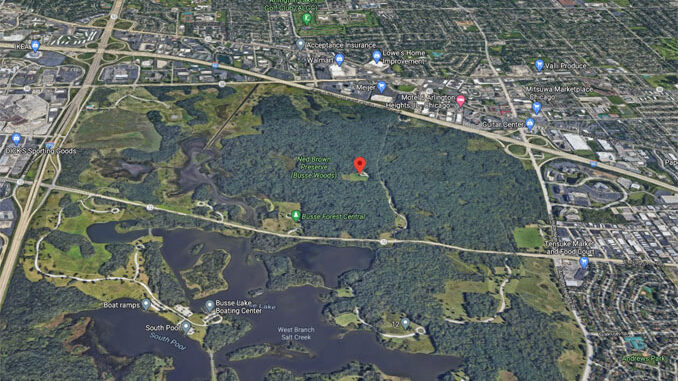Busse Woods Grove 2 Aerial View (Imagery ©2021 Google, Imagery ©2021 Maxar Technologies, Sanborn, U.S. Geological Survey, USDA Farm Service Agency, Map data ©2021) Busse Woods Grove 2 Aerial View (Imagery ©2021 Google, Imagery ©2021 Maxar Technologies, Sanborn, U.S. Geological Survey, USDA Farm Service Agency, Map data ©2021)
