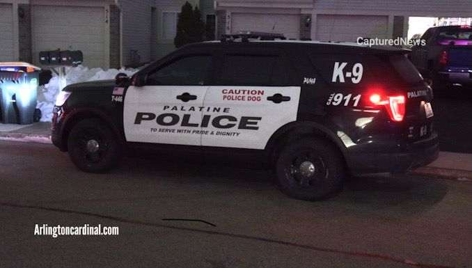 Palatine police K-9 SUV at the driveway at the front of the townhouse where a man was reported stabbed