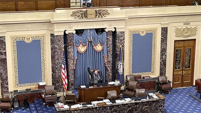 A single protester shown in the video feed at the Senate Chamber A single protester shown in the video feed at the Senate Chamber
