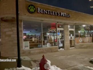 Water main break Sigwalt Street and Evergreen Avenue near Bentley's PETstuff