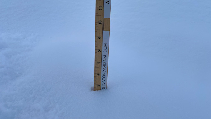 Snowfall measured 4.5 inches in central Arlington Heights for the period 3:00 p.m. Monday February 15 to 7:00 a.m. Tuesday, February 16, 2021
