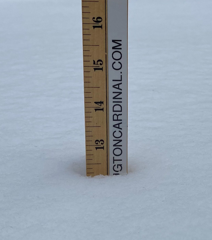 Snow cover in central Arlington Heights is 12.125 inches on February 14, 2021