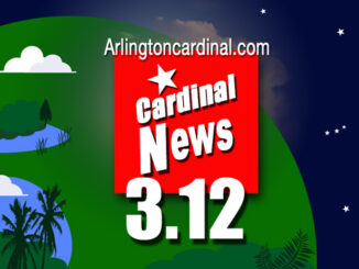 March 12 0312 Arlington Cardinal Thumbnail