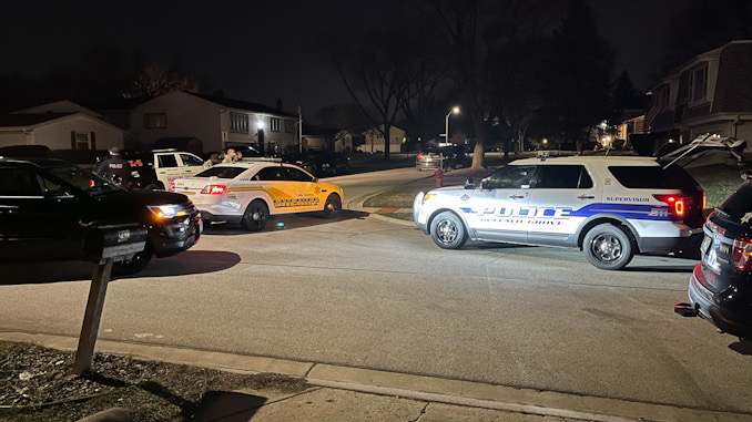 Police activity Buffalo Grove possibly for burglars barricaded in a house.