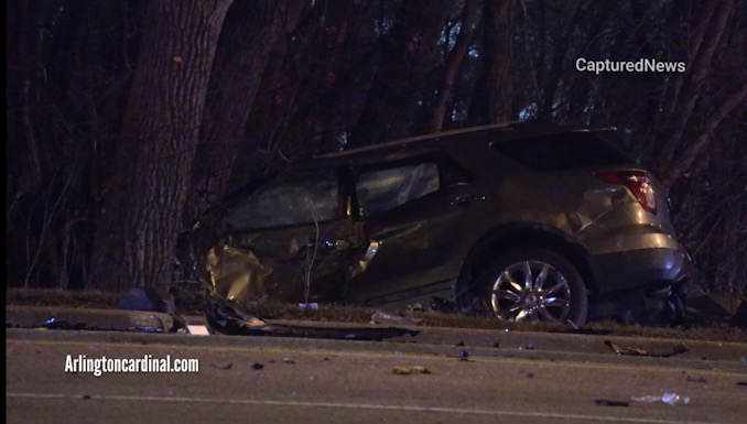 One vehicle in the trees in the forest preserve near Alexian Brothers Medical Center at Biesterfield Road and Beisner Road in Elk Grove Village