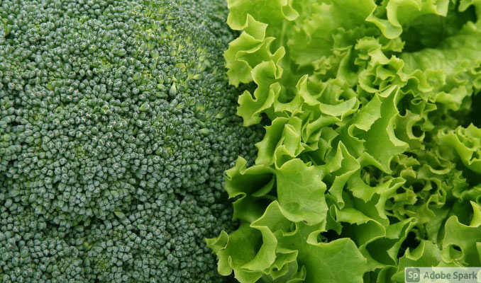 Broccoli and lettuce (by Shutterbug75)