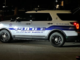 Police activity Buffalo Grove possibly for burglars barricaded in a house.