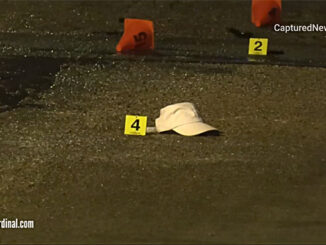 Evidence markers on Silver Lane south of Norway Lane in Palatine Township after a fatal shooting