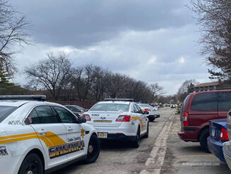 Cook County Sheriff's Office "shots fired" investigation on Nichols Road on Wednesday, March 31, 2021