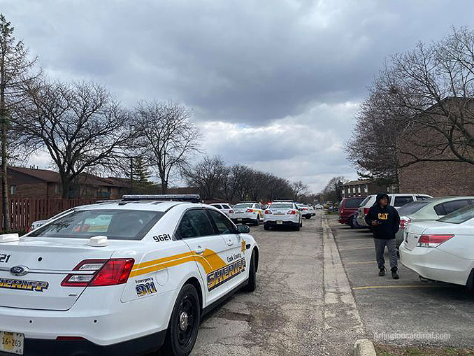 Cook County Sheriff's Office "shots fired" investigation on Nichols Road on Wednesday, March 31, 2021