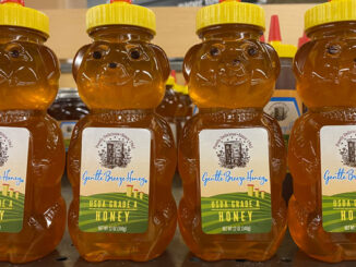 Gentle Breeze Honey USDA Grade A Honey in bear bottle