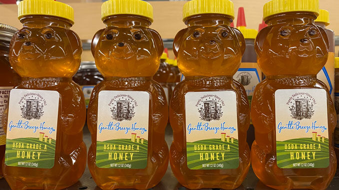 Gentle Breeze Honey USDA Grade A Honey in bear bottle