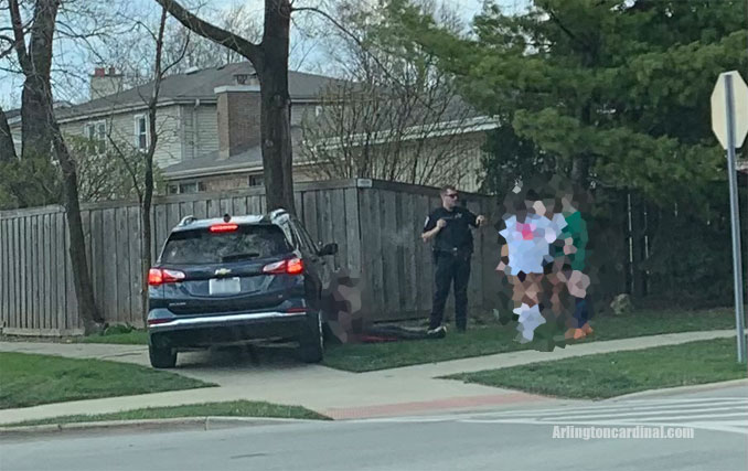 Vehicle crash with a tree at Dwyer Avenue and Kirchhoff Road in Arlington Heights Tuesday, April 6, 2021 about a minute after police and paramedics were dispatched