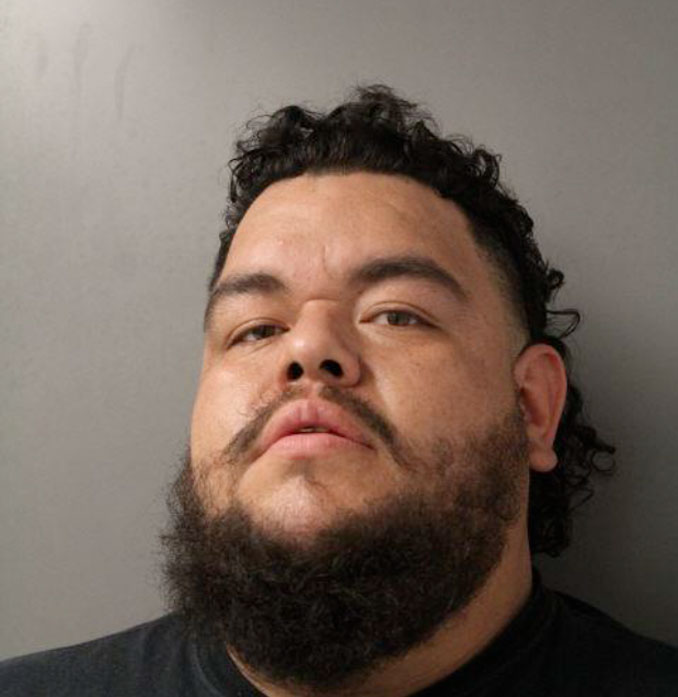 Edgar J. Delatorre, misdemeanor battery suspect (SOURCE: Schaumburg Police Department)