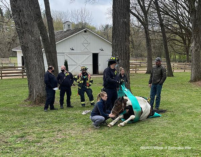 American Painted Horse rescue in Barrington Hills on Wednesday, April 21, 2021