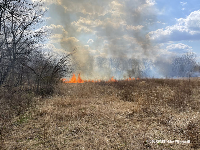 Brush fire west of Lake County Heron Creek Forest Preserve on Tuesday, April 6, 2021 (PHOTO CREDIT: Max Weingardt)