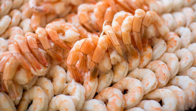 Shrimp serving (PHOTO CREDIT: Jason Gillman/Pixabay)