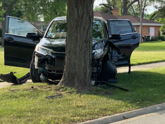 Single vehicle crash, SUV vs tree at Dwyer Avenue and Campbell Street Arlington Heights