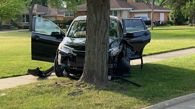 Single vehicle crash, SUV vs tree at Dwyer Avenue and Campbell Street Arlington Heights