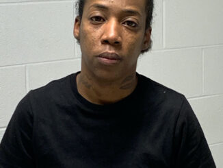 Katrice Brown, Aggravated Battery suspect (SOURCE: Lake County Sheriff's Office)