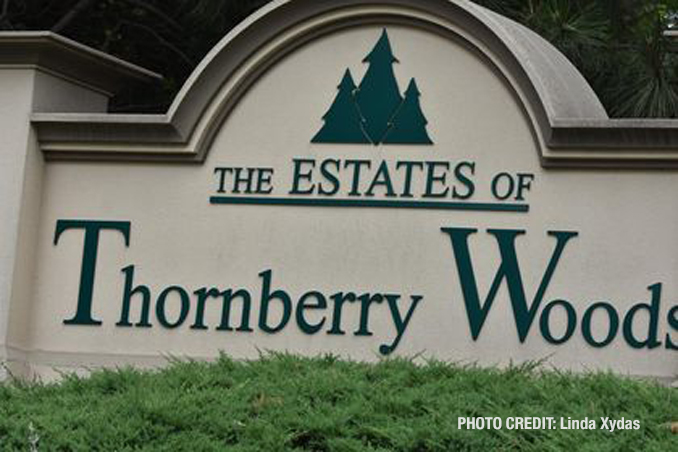 The Estates of Thornberry Woods near the border of Naperville and Woodridge