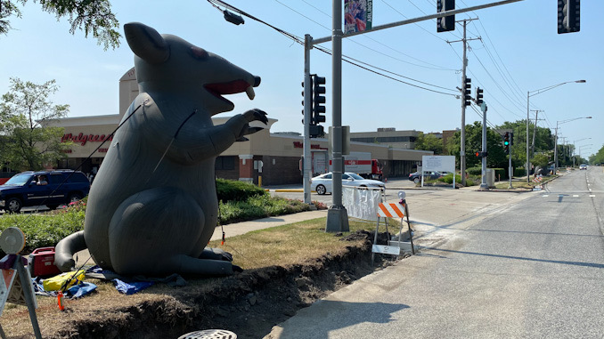 Inflatable rat at the entrance to Town & Country Shopping Center at Arlington Heights and Lillian Avenue in Arlington Heights