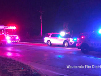 Pedestrian hit on Route 120 in Wauconda Township on Saturday, June 19, 2021 (SOURCE: Wauconda Fire District)