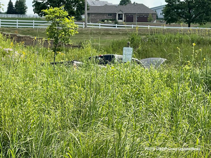 Offender's Chevrolet Silverado stranded in a backyard marsh after he was captured in the Grand Dominion by Del Webb community following a pursuit that started in Wauconda (SOURCE: Craig/CapturedNews)