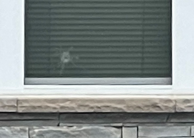 A bullet hole was discovered in a damaged window of a second-floor residence directly above the front entrance to the building. The damaged window with the bullet hole has been in disrepair since March 2020 (at least 16 months ago)