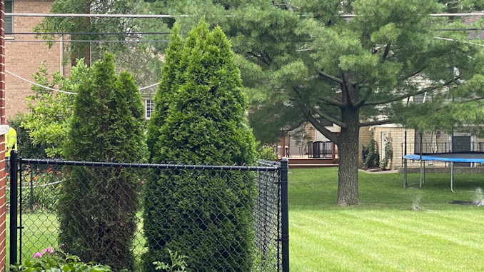 Downed power lines near, but not across a chain link fence on Walnut Avenue in Arlington Heights