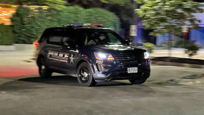 Arlington Heights police at the scene of a fight at Astoria Banquets