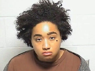 Kalyn A. Stewart, stabbing suspect with a heart tattoo on her right cheek (Illinois State Police arrest)