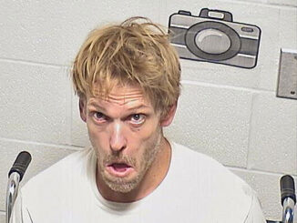 Mark Mortensen, Aggravated Domestic Battery, stabbing suspect (SOURCE: Lake County Sheriff's Office)