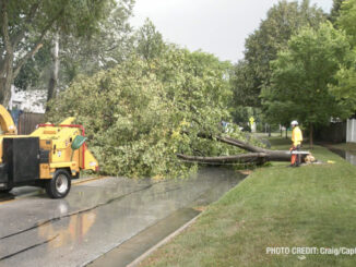 Storm damage on Deerpath Drive in Vernon Hills