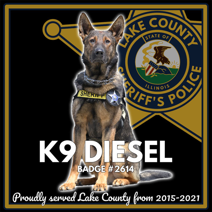 Lake County Sheriffs Office K-9 Diesel (SOURCE: Lake County Sheriff's Office)