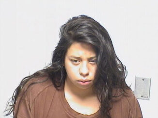 Vivania Mora, aggravated battery to a peace officer suspect (SOURCE: Lake County Sheriff's Office)