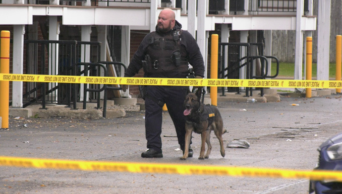 K-9 unit at fatal shooting in Park City in Lake County