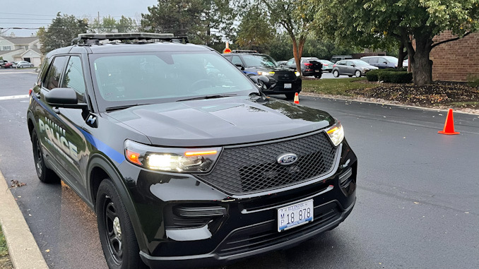 Hit-and-run pedestrian incident investigation on Constitution Drive east of Hicks Road in Palatine