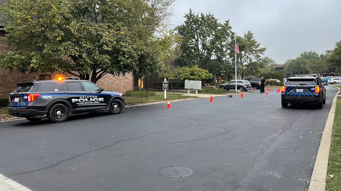 Hit-and-run pedestrian incident investigation on Constitution Drive east of Hicks Road in Palatine